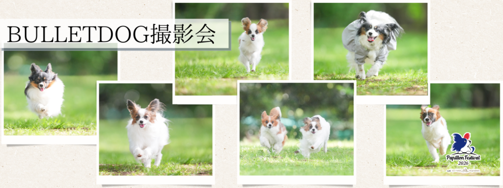 BULLET DOG撮影会
