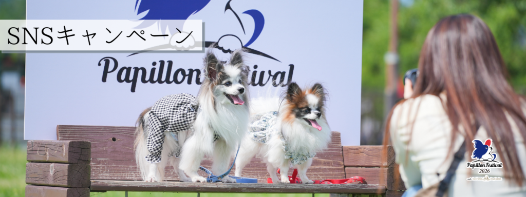 SNSキャンペーン