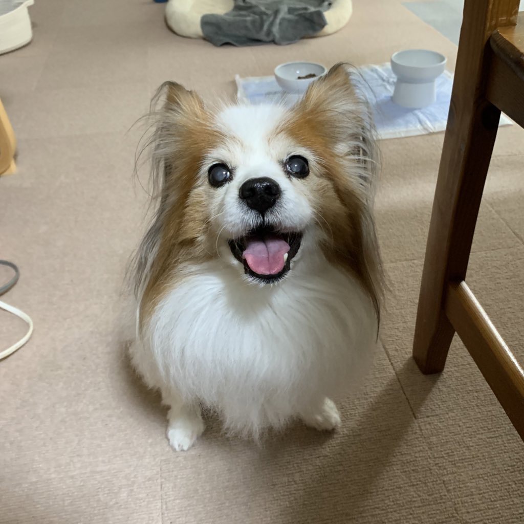 華音くん