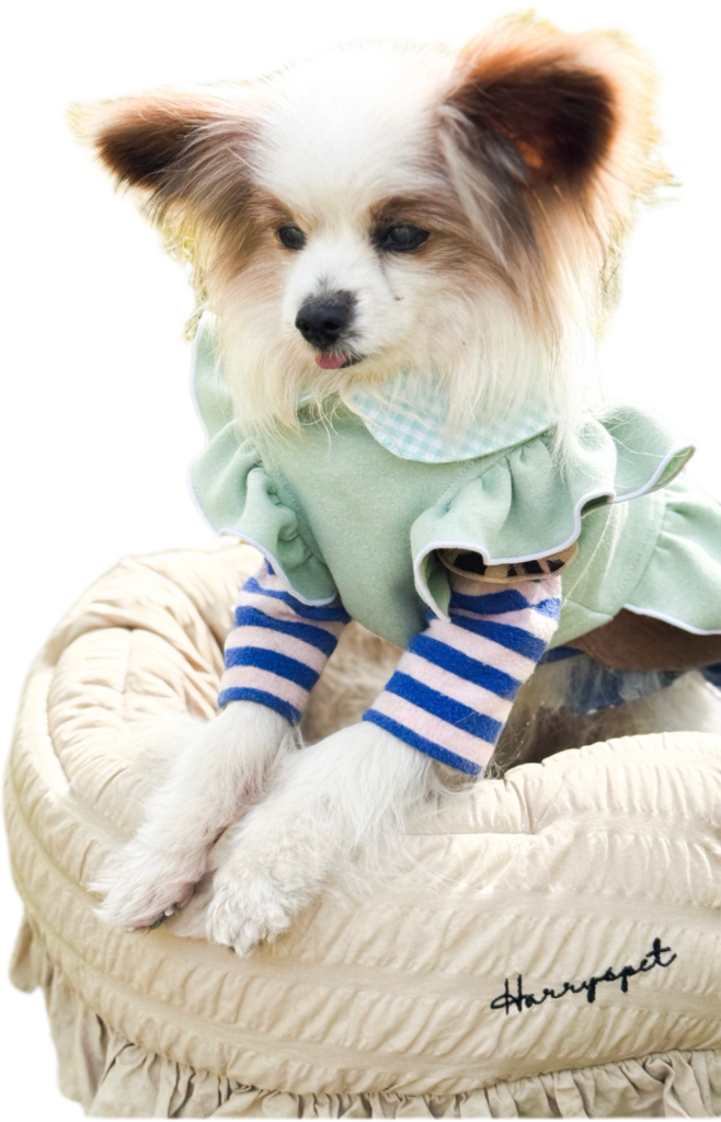 ラッピーくん