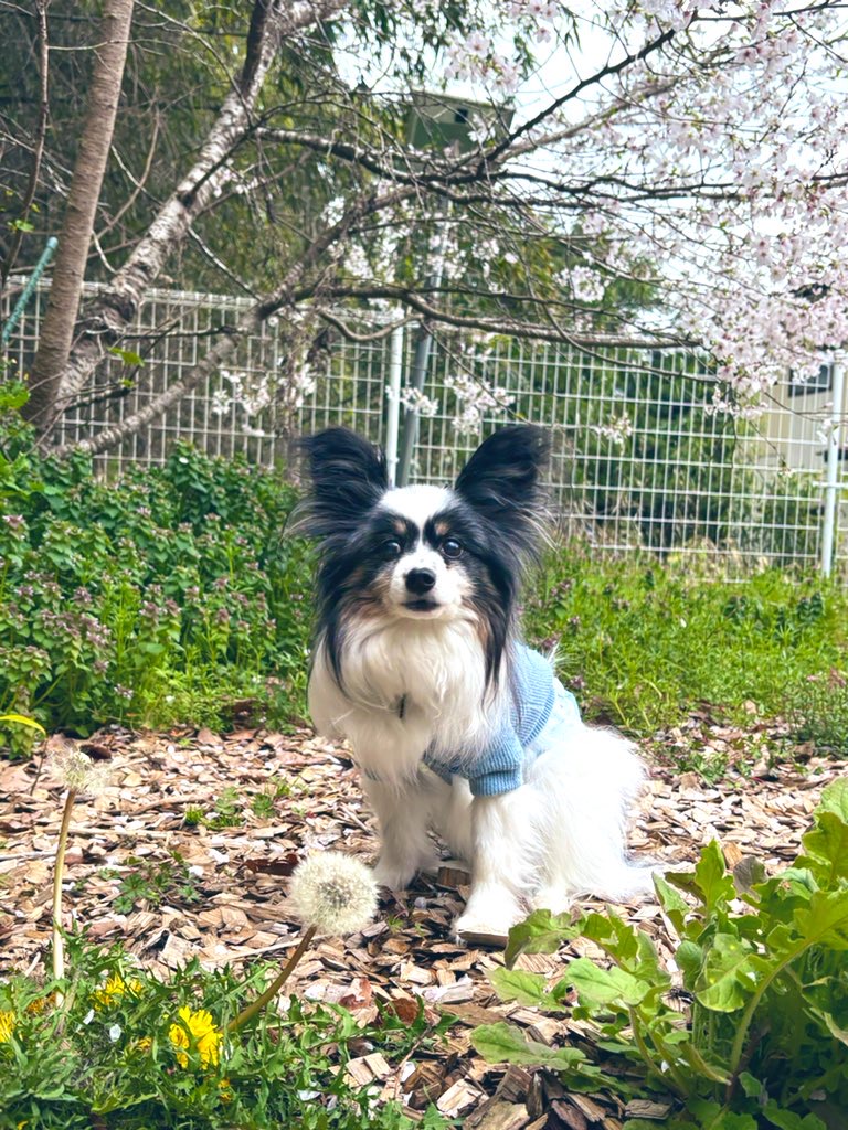 麻呂海(マロウ)くん