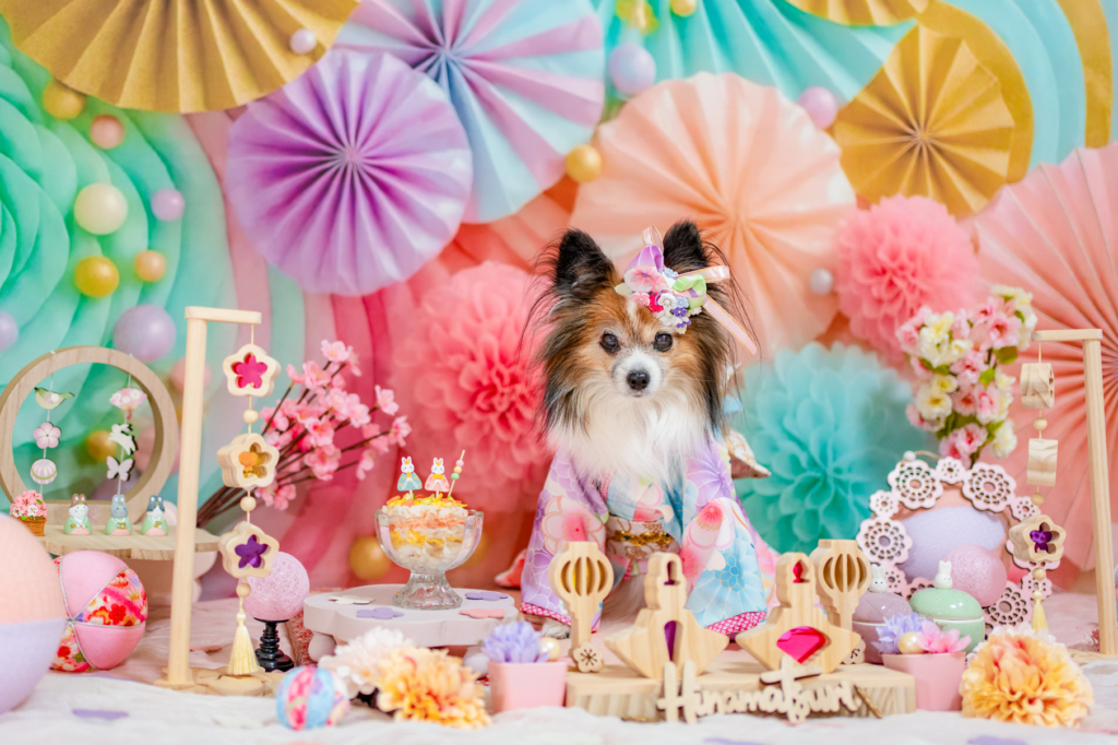 田中 レイラちゃん